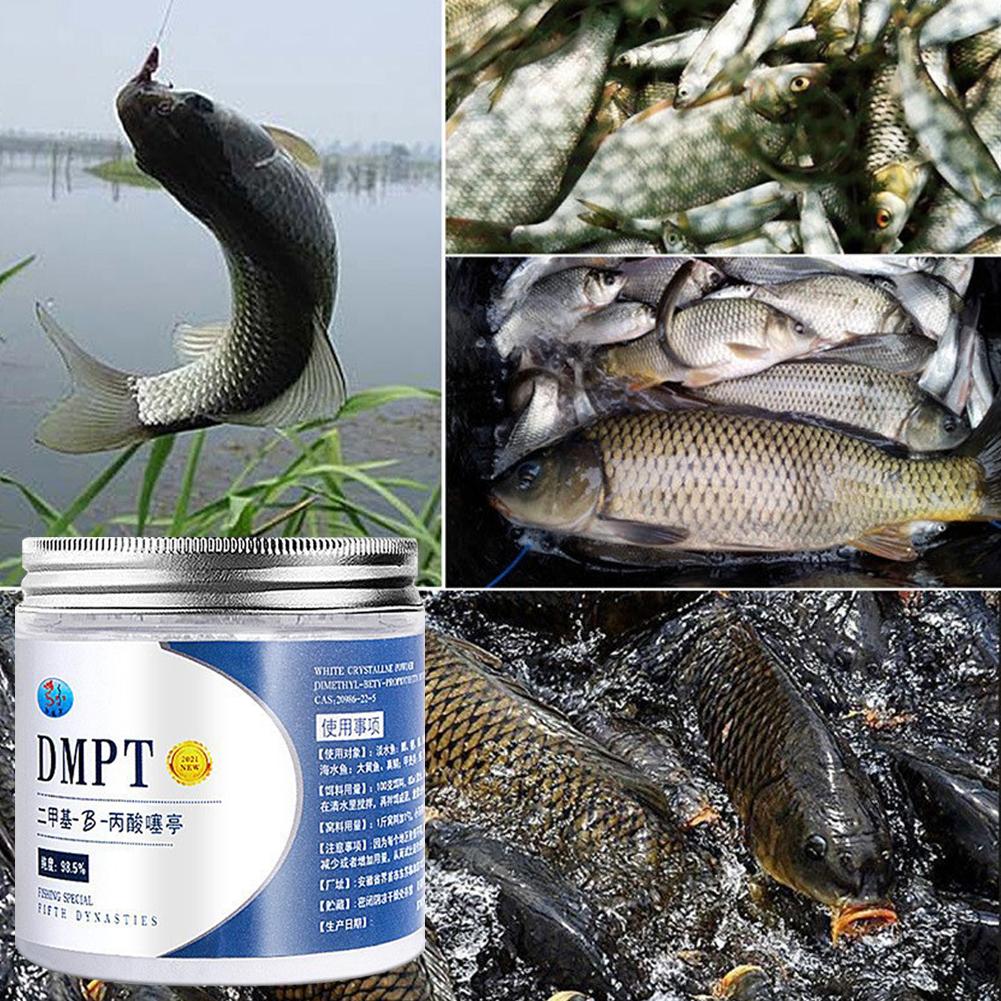 50g Real DMPT High Purity Fish – Fishing Equipment For Sale recenzja i cena